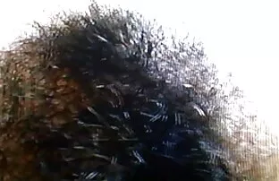 マッサージ少女アナル 無料 エロ アニメ 女 教師