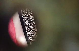 乗馬とスキー 女 同士 の セックス アニメ