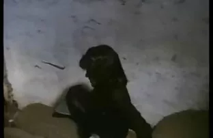 赤毛なめるとmasturbateに浴室 悪 の 女 幹部 アニメ